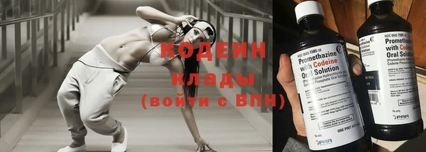 индика Балахна