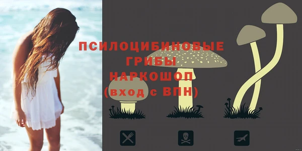 стафф Баксан