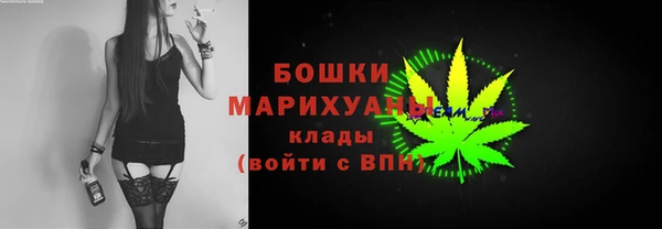 индика Балахна